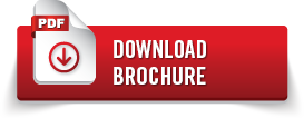 download_pdf1